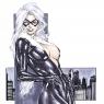 Blackcat