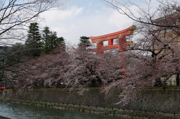 02-Kyoto1_20120406_0086