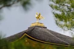 02-Kyoto1_20120407_0153