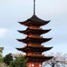 05-Miyajima1_20120411_0470