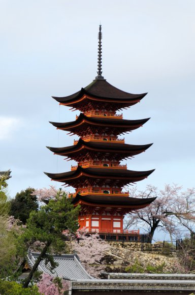 05-Miyajima1_20120411_0470