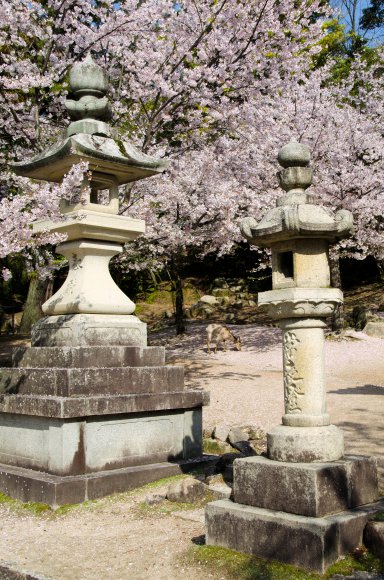 05-Miyajima1_20120412_0488