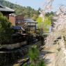 05-Miyajima1_20120412_0499