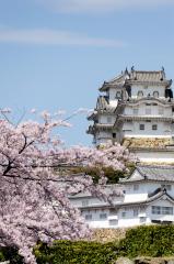 07-Himeji1_20120414_0570