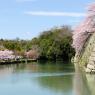 07-Himeji1_20120414_0572