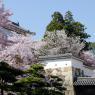 07-Himeji1_20120414_0588