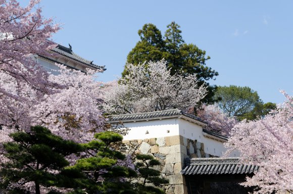 07-Himeji1_20120414_0588