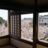 07-Himeji1_20120414_0601