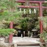 09-Nara1_20120418_0734