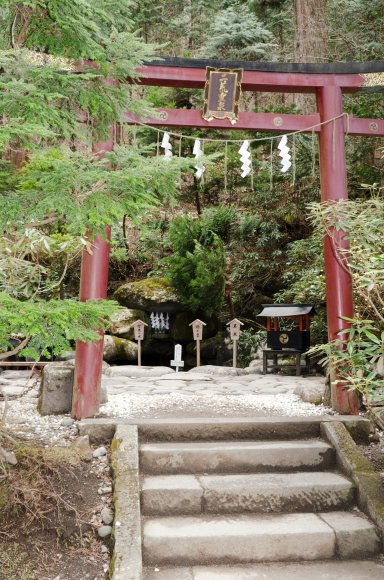 09-Nara1_20120418_0734