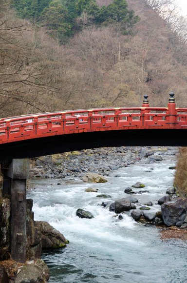 09-Nara1_20120418_0747