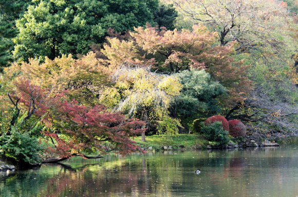 01-Tokyo_20131117_0028