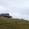 03-Hakone_20131114_0064