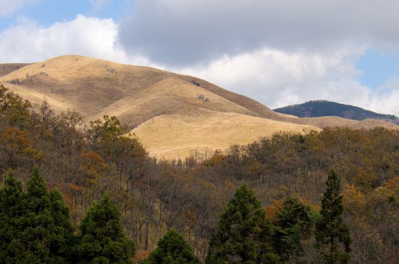 06-Kurokawa_20131120_0040