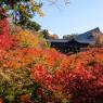 08-Kyoto_20131123_0003