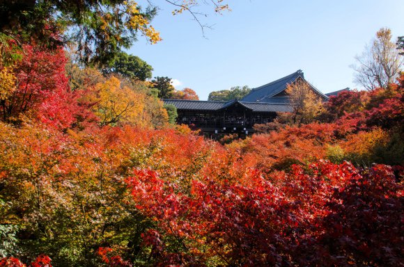 08-Kyoto_20131123_0003