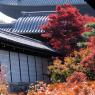 08-Kyoto_20131123_0011