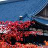 08-Kyoto_20131123_0012