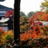 08-Kyoto_20131123_0017