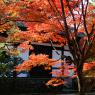 08-Kyoto_20131123_0031