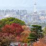 08-Kyoto_20131123_0041