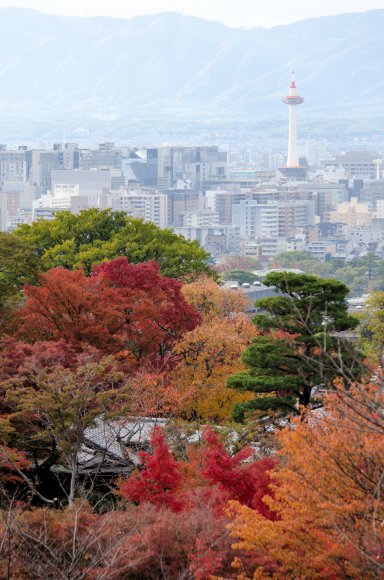 08-Kyoto_20131123_0041