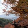 08-Kyoto_20131123_0044