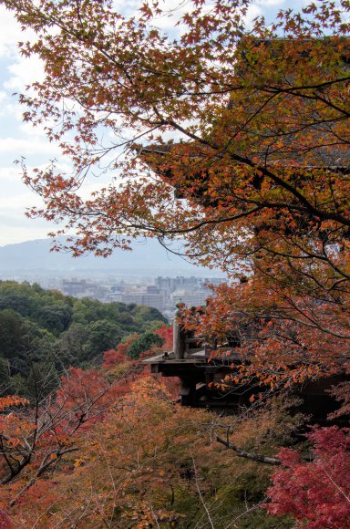 08-Kyoto_20131123_0044