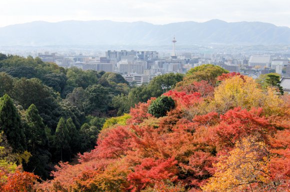 08-Kyoto_20131123_0045