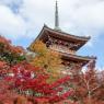 08-Kyoto_20131123_0050