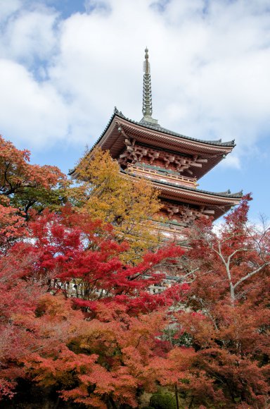 08-Kyoto_20131123_0050