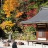 09-Koyasan_20131124_0011