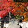 09-Koyasan_20131124_0013