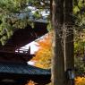 09-Koyasan_20131124_0019