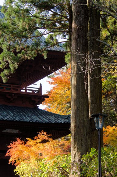 09-Koyasan_20131124_0019