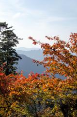 09-Koyasan_20131124_0022