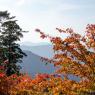 09-Koyasan_20131124_0022