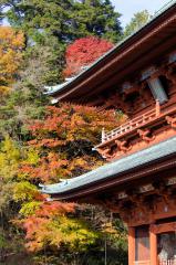 09-Koyasan_20131124_0023