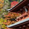 09-Koyasan_20131124_0023