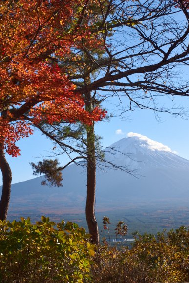 japan-2019-1-0130