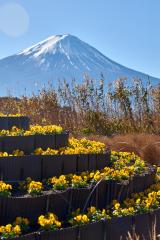 japan-2019-1-0227