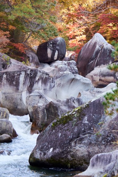 japan-2019-1-0388