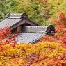 japan-2019-2-0296