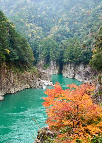 japan-2019-2-0710