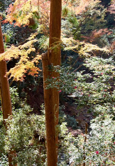 japan-2019-2-0923