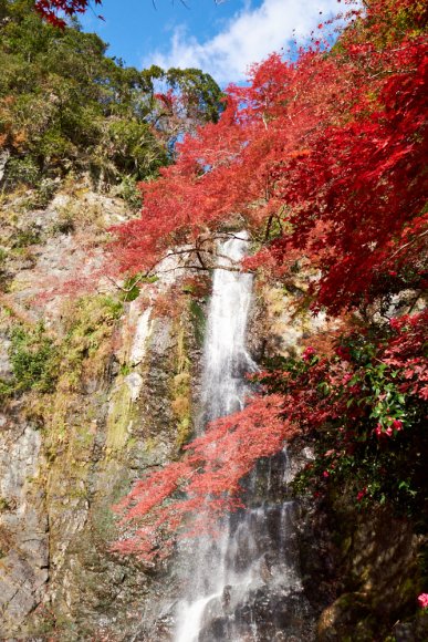 japan-2019-2-0980