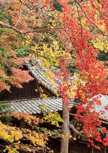 japan-2019-3-0010